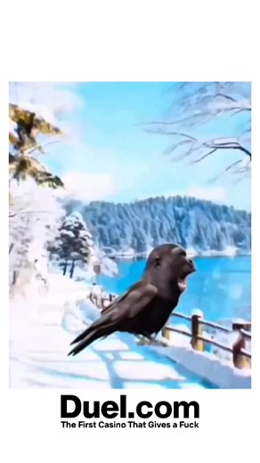 @scrollsports.vibe | The video in the instagram post is a compilation of various internet memes and viral clips, starting with a humorous take on CPR... | Instagram