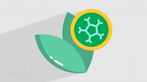 پکتین چیست؟   ساختار، نقش و کاربرد در صنایع غذایی (فیلم آموزش رایگان) | فرادرس