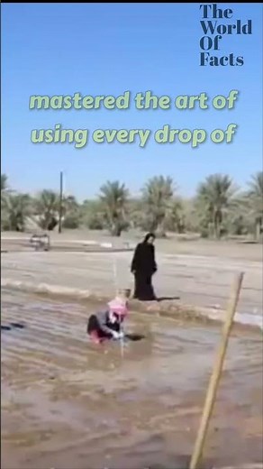 The Desert That Blooms: Israel’s Negev Agricultural Miracle #Innovation #WaterManagement #israel