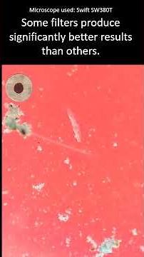 Using different microscope filters. #microscopy