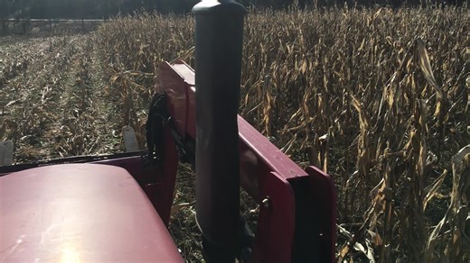 Old school corn picking