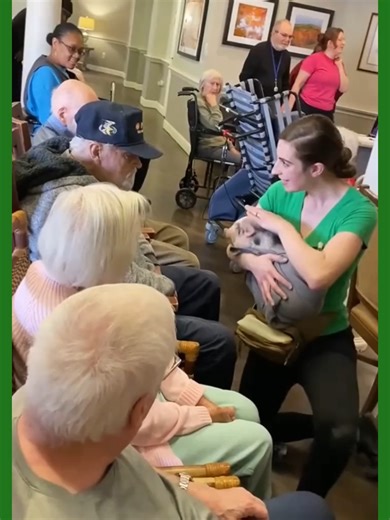 Hilarious Grandpa Moments You Can't Miss