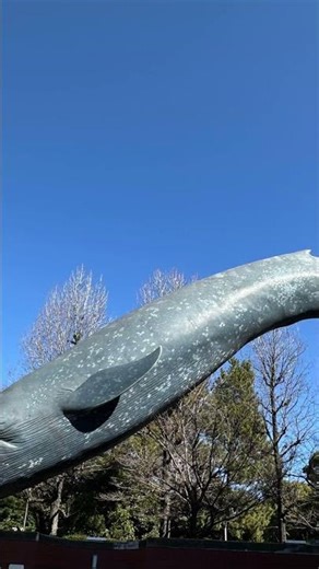 #Yokyo #Take a stroll #tokyo