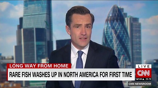 Massive, strange fish found on California beach