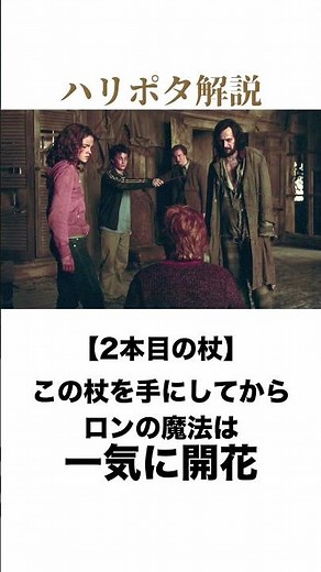 【ハリー・ポッター雑学】1本だけじゃない！？ロンの歴代所有杖を解説！(2本目と3本目) #ハリーポッター