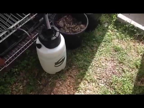 Round up sprayer review