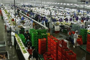 CCL: Rebaja de drawback a 3% afectará al sector no tradicional - PQS