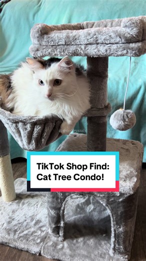 Amazing Cat Tree Condo for Happy Cats