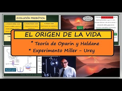 Origin of Life on Earth. Oparin and Haldane Theory. Coacervates. Miller and Urey Experiment.