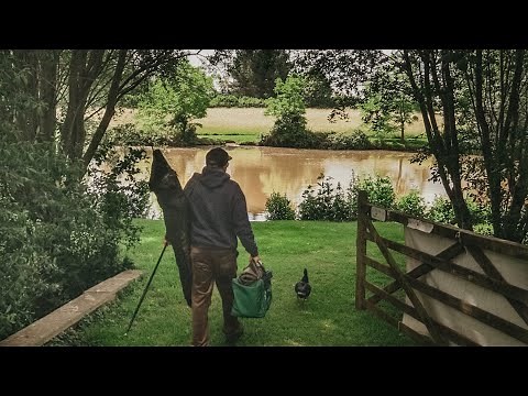 I discover Ancient Pond full of Fish! What a place!