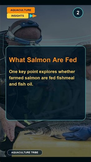 Should You Eat Salmon Fish? — Farmed Salmon Myths