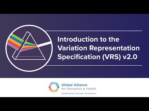 Introduction to the Variation Representation Specification (VRS v2 0)