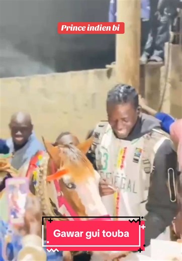 Prince Gawar gui Touba: Course Hippique au Sénégal