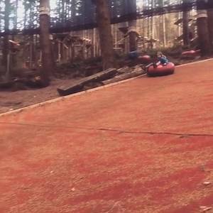 12K views · 79 reactions | Let them loose on the carpet slide this half term! It comes as a little added bonus with your Treetop Nets ticket  Get them outdoors! Book here: https://zipwo.uk/2WY4rOp  @brandasylum | Zip World | Facebook