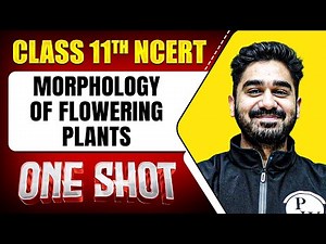 MORPHOLOGY OF FLOWERING PLANTS in 1 Shot | FULL Chapter Coverage (Concepts+PYQs) | Class 11th Botany