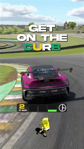 How to do the Senna Esses on iRacing in the Porsche Cup!