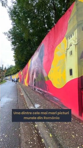 Una dintre cele mai mari picturi murale din România!