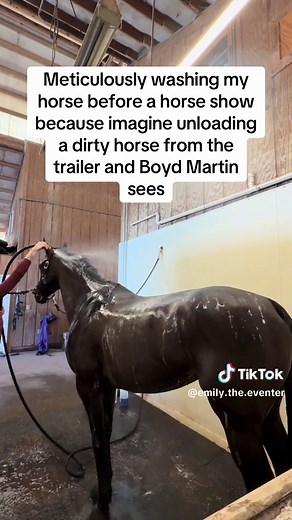 Preparing Your Horse for a Show: Essential Tips