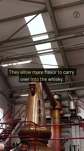 Why Do Whisky Stills Have Different Shapes?