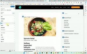 wordpress建站视频教程：ASTRA主题使用教程5 PRO版本部分功能介绍