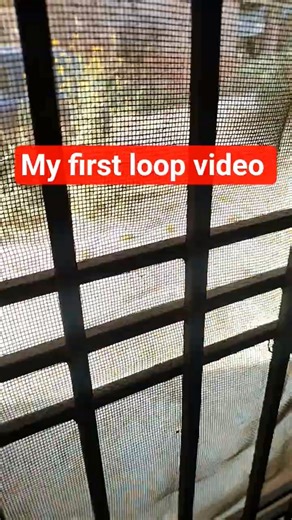 everyone is posting loop video #shorts #shortsfeed #loopshorts #loop #loops #clippoint #crossclip