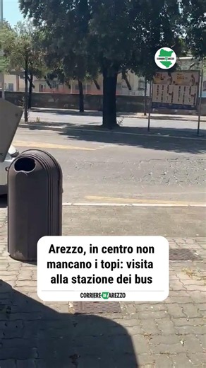 Arezzo, in centro non mancano i topi: visita alla stazione dei bus