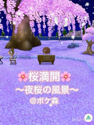 〔ポケ森〕桜満開〜🌸夜桜の風景🌸 #ポケ森 #あつ森 #桜 #満開 #夜桜 #枝垂桜 #お花見 #pocketcamp #animalcrossing