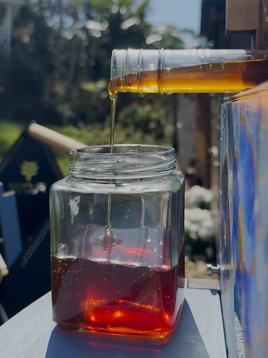 Discover the Flow Hive 2: New ThermoGrade™ Wood