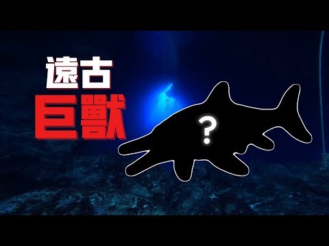 这才是真正的深海噩梦！体型超越蓝鲸，2亿年前它到底有多强？【维维Weiwei】