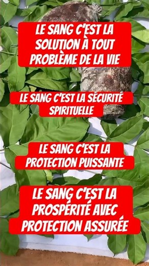 Rapid spiritual healing: the great marabout healer unveils a powerful secret ritual