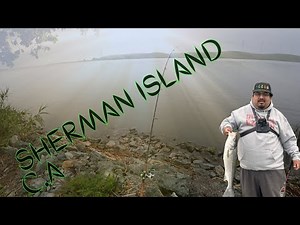 Striper Fishing at Sherman Island CA