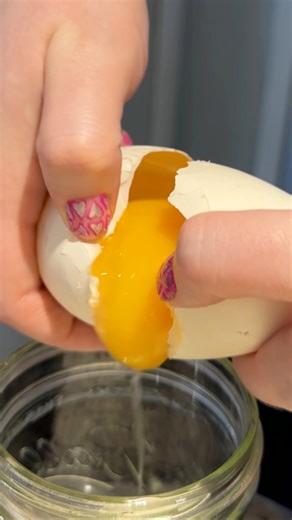 I finally got a hold of some goose eggs again- I have been thinking about how badly I wanted to make a giant poached egg ever since the last time I cooked one of these! Goose eggs are really rich and the egg whites get a little bit tougher than chicken so I was excited to see what happened.I made the mistake of only getting three goose eggs and the first two’s yolk split when I cracked them- luckily the third one held together. I started out by soaking the goose eggs is equal parts water and whi