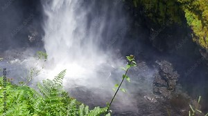 A towering Akaka Falls in Hilo, Hawaii cascades 400 feet to a natural pool, often seen with a rainbow when the mist is heavy and the sun is bright..