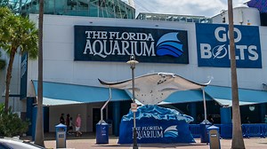 New developer to lead Florida Aquarium's upcoming $40M major expansion