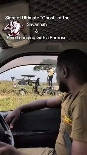 The Game Drive