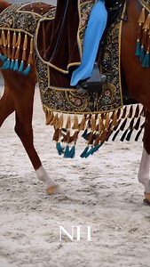 7.2K reactions · 61 shares | The Mounted Native Costume class at the Region 12 Championship showcases the rich heritage and vibrant elegance of Arabian horses and their riders — a stunning blend of history and athleticism. #region12 #nationalhorsemanarabian #arabianhorse #equestrian #nationalhorseman #fortheloveofthearabianhorse | National Horseman Arabian | Facebook