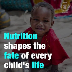 6.9K views · 246 reactions | The right nutrition during a child's first 1,000 days has a profound impact on a child’s ability to grow, learn and thrive ✨ | World Food Programme | Facebook