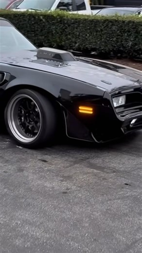 1977 Trans Am. The Pro Touring is 🔥 #lovecars #fastturtleautomotive #transam #pontiac #protouring