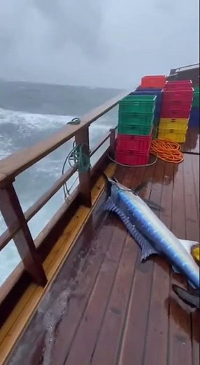 UNBELIEVABLE! Giant Marlin SLAMS Fisherman Then a Second Jumps ONTO The Boat!