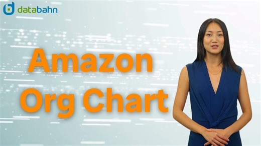 Amazon Org Chart by Databahn