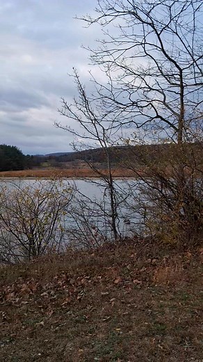 Welcome to your moment of peace! | Friends of Beltzville State Park