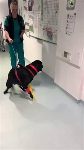 8.2K views · 72 reactions | January can often feel a little dull, but...