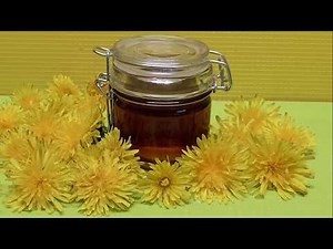 Syrop Miöd z mniszka lekarskiego czyli z mleczy