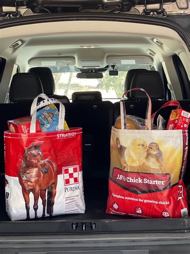 Upcycled Feed Bag Totes Handmade Waterproof Eco Bags From Our Colorado Homestead Durable, Reusable, Farm-fresh Style - Etsy
