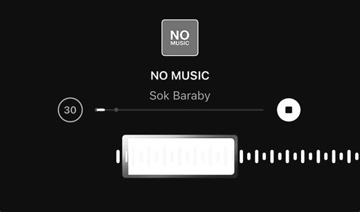 Aesthetic Video Lyrics | No Music