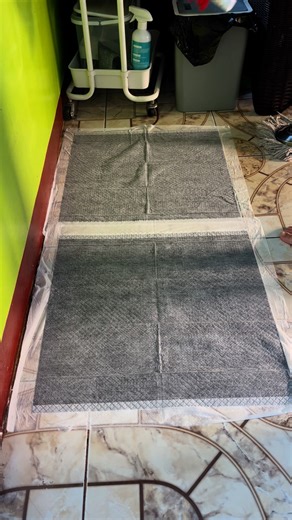 55K views · 97 reactions | Cleaning the Potty Area  #PottyTraining #HowToCleanPottyArea #PeePads #PottySpray #Dog #DogPH #PottySpray #DogPhilippines #PetDeodorizerSpray #PetOdorEliminator | Our Pets' Life | Facebook