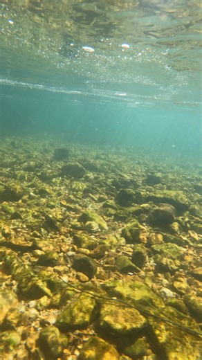 Here is a underwater view of Current River. This was filmed on the stretch from Logyard to Painted Rock. This is near Ellington Mo | Show Me Creeks