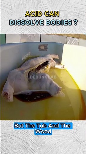 Can Acid Really Dissolve a Human Body? ⚗️🦴 #mythbusted