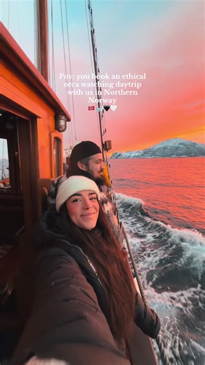 Ethical Orca Watching Experience in Northern Norway