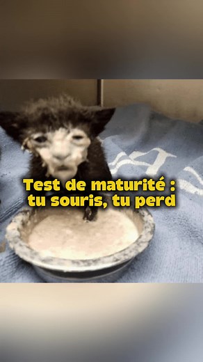 Test de maturité : Tu souris, tu perds !